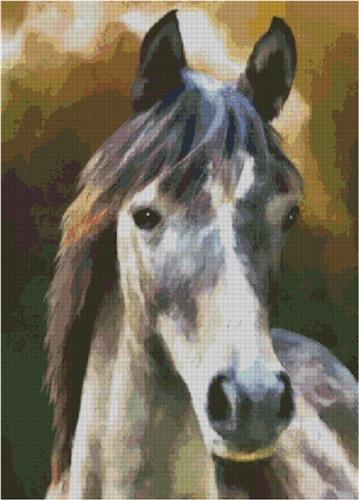 (image for) Horse Portrait
